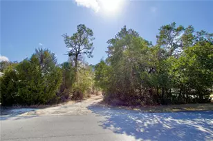 10458 Gypsy Ave, Weeki Wachee, FL 34613 - Photo 1