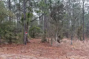 NW Terrapin Dr, Dunnellon, FL 34431 - Photo 1