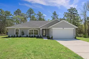 13035 Meinert Ave, Brooksville, FL 34613 - Photo 1