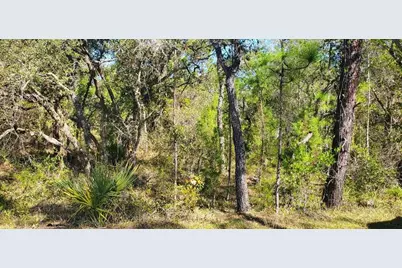 Lot 56 Michigan Avenue, Weeki Wachee, FL 34613 - Photo 1
