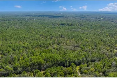 6272 W Hagan Court, Dunnellon, FL 34433 - Photo 1