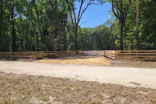 164 NE 293rd Ave, Old Town, FL 32680 - Photo 1
