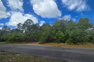 4113 Portillo Rd, Spring Hill, FL 34608 - Photo 1