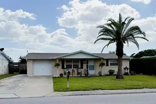 9721 Lake Chrise Ln, Port Richey, FL 34668 - Photo 1