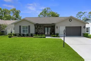 6357 Pine Meadows Dr, Spring Hill, FL 34606 - Photo 1