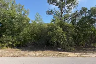4205 Parkhurst Ln, Spring Hill, FL 34608 - Photo 1