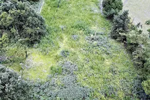 9856 Pangola Loop, Land O Lakes, FL 34639 - Photo 1