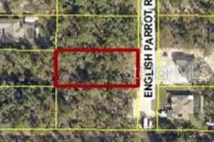 13415 English Parrot Rd, Brooksville, FL 34614 - Photo 1