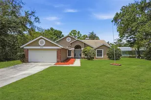 4219 Newton Rd, Spring Hill, FL 34606 - Photo 1