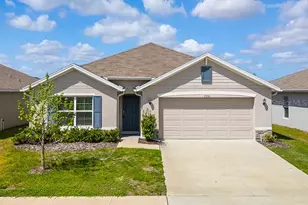 13196 Golden Lime Ave, Spring Hill, FL 34609 - Photo 1