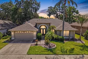 8435 Basuto Dr, Trinity, FL 34655 - Photo 1