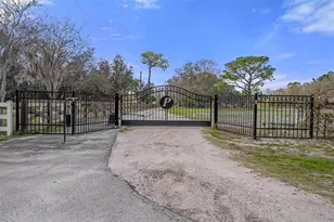 19804 Hiawatha Rd, Odessa, FL 33556 - Photo 1
