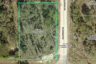 Goldfinch Rd, Weeki Wachee, FL 34614 - Photo 1