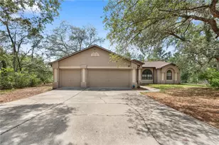 7121 Bastian Ct, Weeki Wachee, FL 34613 - Photo 1