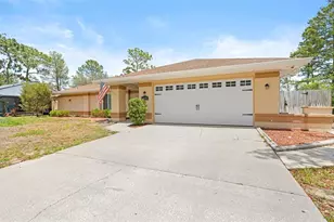 3272 Bluestone Ave, Spring Hill, FL 34609 - Photo 1