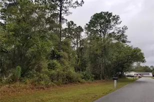 21239 Wynyard Ave, Port Charlotte, FL 33954 - Photo 1