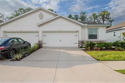 31365 Paper Birch Street, Wesley Chapel, FL 33545 - Photo 1