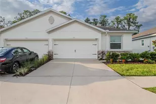 31365 Paper Birch St, Wesley Chapel, FL 33545 - Photo 1