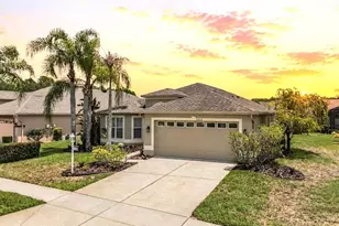 1032 Dustan Pl, Trinity, FL 34655 - Photo 1