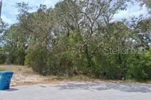 9159 Liberator Ct, Spring Hill, FL 34608 - Photo 1