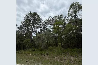 18011 Nutcracker Road, Weeki Wachee, FL 34614 - Photo 1
