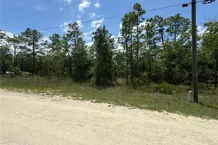0 Scaup Duck Ave, Weeki Wachee, FL 34614 - Photo 1
