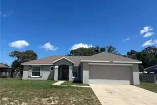 11413 Sand Hill Ave, Spring Hill, FL 34608 - Photo 1