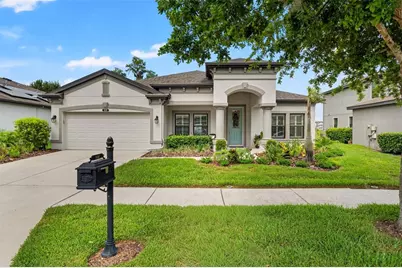8320 Bluevine Sky Drive, Land O Lakes, FL 34637 - Photo 1