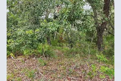 18364 Parakeet Road Lot #25, Brooksville, FL 34614 - Photo 1