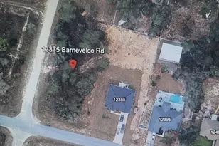Lot 14 Barnevelde Rd, Weeki Wachee, FL 34614 - Photo 1