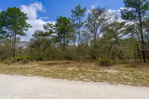 0 Myland Rd, Brooksville, FL 34614 - Photo 1