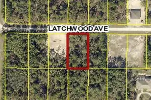 Latchwood Ave, Weeki Wachee, FL 34614 - Photo 1