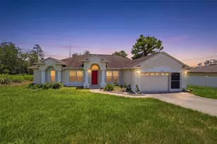 2384 Lema Dr, Spring Hill, FL 34609 - Photo 1