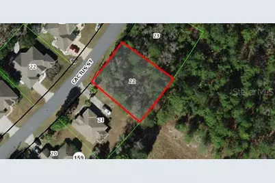 50 Cactus Street, Homosassa, FL 34446 - Photo 1