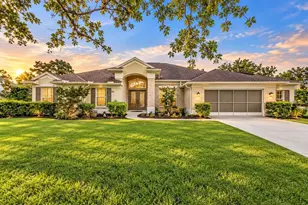10242 Swanson Ct, Spring Hill, FL 34608 - Photo 1