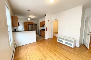 52 Delle Ave, Boston, MA 02120 - Photo 3