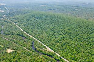 302 Boston Rd, Palmer, MA 01069 - Photo 9