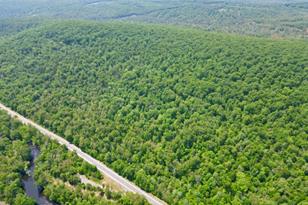 302 Boston Rd, Palmer, MA 01069 - Photo 3