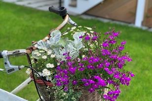 66 Hulbert Ave, Nantucket, MA 02554 - Photo 33