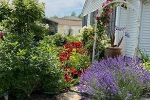 255 Alden St - Photo 29