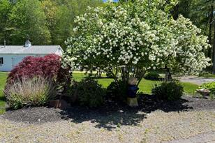 255 Alden St - Photo 21