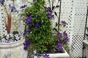 255 Alden St - Photo 19