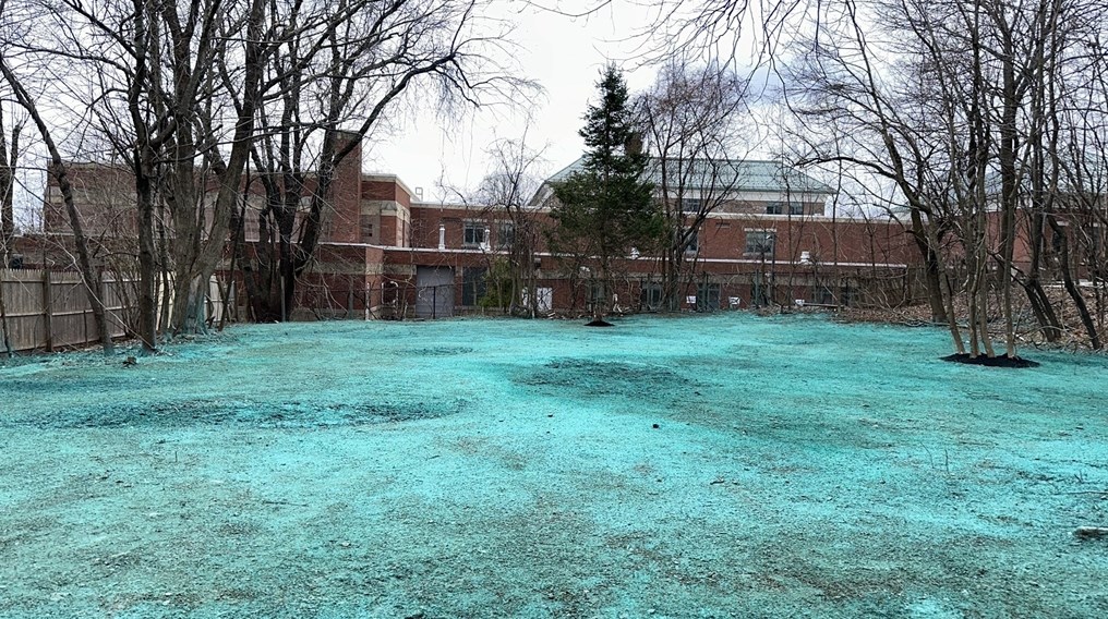 24 Norrback Ave, Worcester MA  01606-1086 exterior