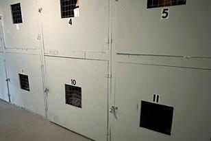 60 Colonial Dr - Photo 19