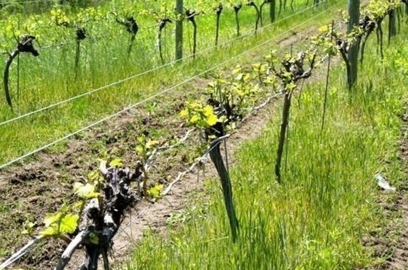 337 Old Fall Riv Rd, Dartmouth MA 02747-1248 exterior