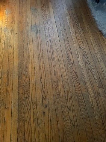 55 Noel St, Springfield MA  01108-1269 exterior