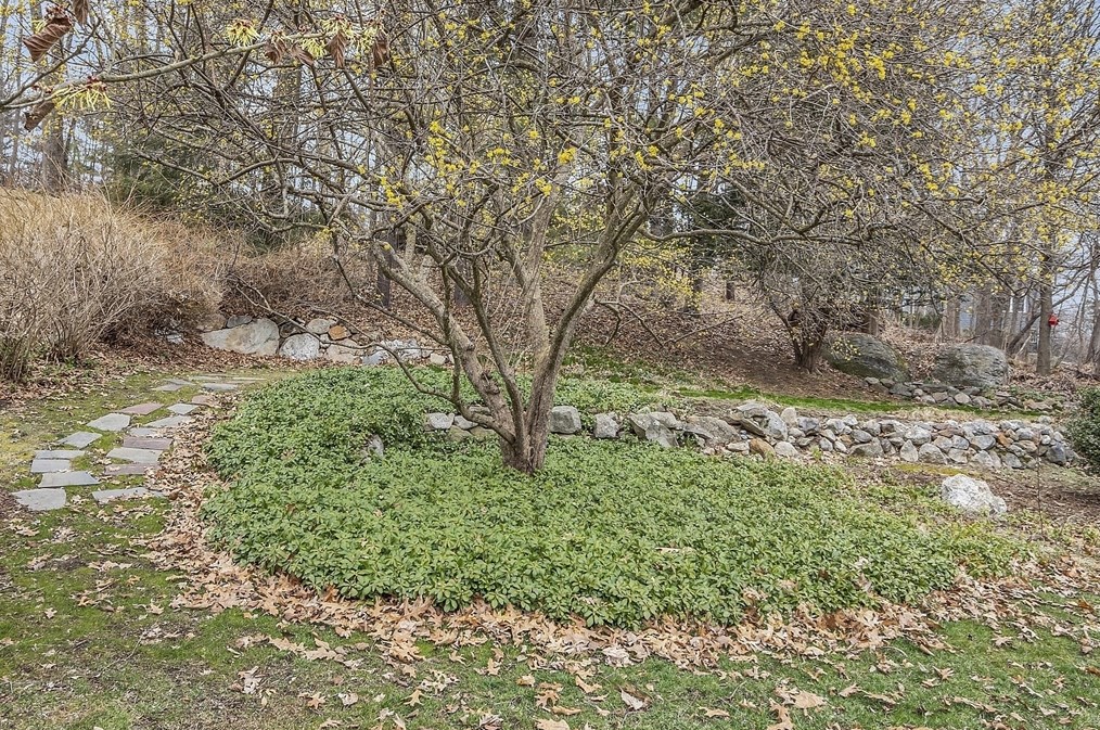 9 Carlisle St, Andover MA 01810-1423 exterior