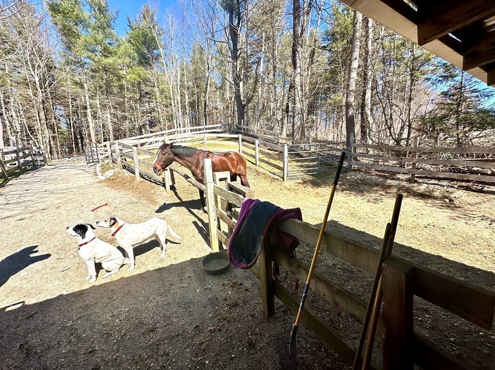 26 West St, Worcester MA 01609-2307 exterior