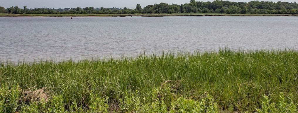 15 Water St, Boston MA 02167-3180 exterior