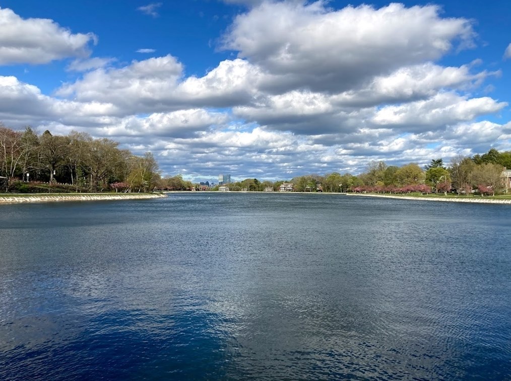 111 Sumner Rd, Brookline MA  02445-6111 exterior